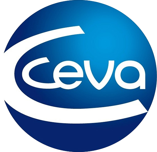 Ceva